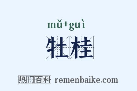 牡桂是什么意思的图片